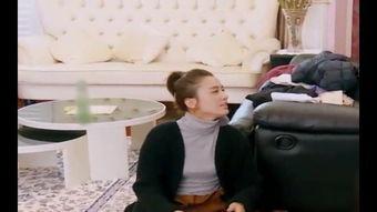 娱乐圈吃瓜路人