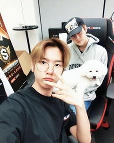 娱乐吃瓜酱男孩